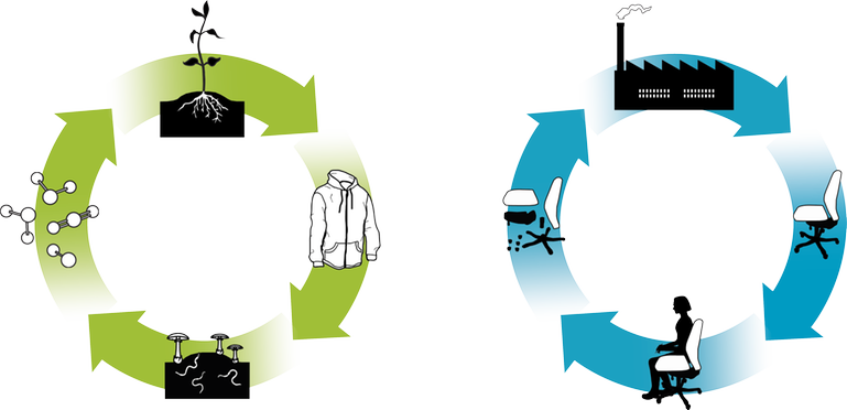 2 kretslopp visas. Ett grönt som visar kretslopp för biologiska material som en tröja med giftfria material och ett blått som visar kretslopp för tekniska material som t ex en kontorsskol-